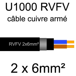 câble électrique armé renforcé âme cuivre U1000 RVFV 2 conducteurs section 6mm²