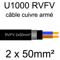 câble électrique armé renforcé âme cuivre U1000 RVFV 2 conducteurs section 50mm²