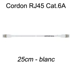 Câble Ethernet RJ45 cat 6a 25cm blanc