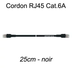 Câble Ethernet RJ45 cat 6a 25cm noir