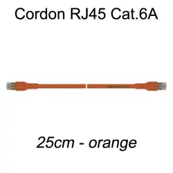 Câble Ethernet RJ45 cat 6a 25cm orange