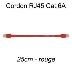 Câble Ethernet RJ45 cat 6a 25cm rouge