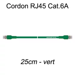 Câble Ethernet RJ45 cat 6a 25cm vert