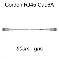 Câble Ethernet RJ45 cat 6a 50cm gris