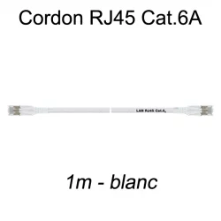 Câble Ethernet RJ45 cat 6a 1m blanc