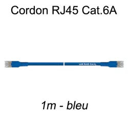 Câble Ethernet RJ45 cat 6a 1m bleu