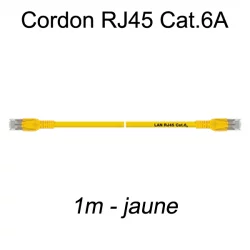 Câble Ethernet RJ45 cat 6a 1m jaune