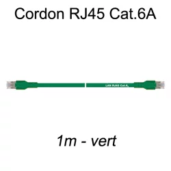 Câble Ethernet RJ45 cat 6a 1m vert