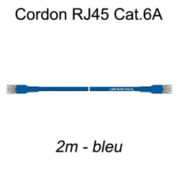 Câble Ethernet RJ45 cat 6a 2m bleu