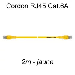 Câble Ethernet RJ45 cat 6a 2m jaune