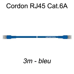 Câble Ethernet RJ45 cat 6a 3m bleu