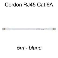 Câble Ethernet RJ45 cat 6a 5m blanc