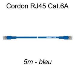 Câble Ethernet RJ45 cat 6a 5m bleu