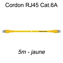 Câble Ethernet RJ45 cat 6a 5m jaune