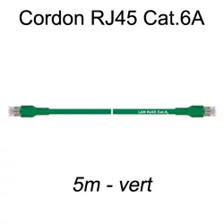 Câble Ethernet RJ45 cat 6a 5m vert