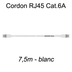 Câble Ethernet RJ45 cat 6a 5m blanc