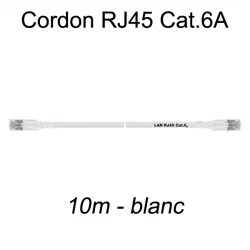 Câble Ethernet RJ45 cat 6a 10m blanc