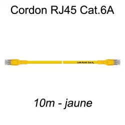 Câble Ethernet RJ45 cat 6a 10m jaune