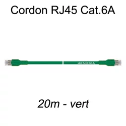 Câble Ethernet RJ45 cat 6a 20m vert