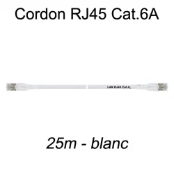 Câble Ethernet RJ45 cat 6a 25m blanc