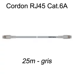Câble Ethernet RJ45 cat 6a 25m gris