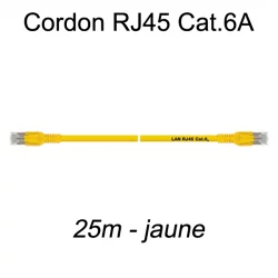 Câble Ethernet RJ45 cat 6a 25m jaune