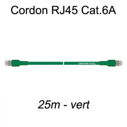 Câble Ethernet RJ45 cat 6a 25m vert
