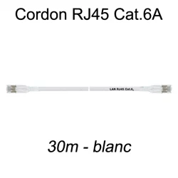 Câble Ethernet RJ45 cat 6a 30m blanc