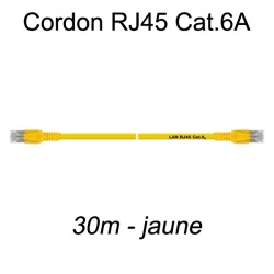 Câble Ethernet RJ45 cat 6a 30m jaune