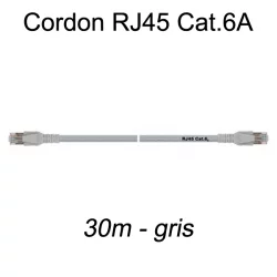 Câble Ethernet RJ45 cat 6a 30m gris
