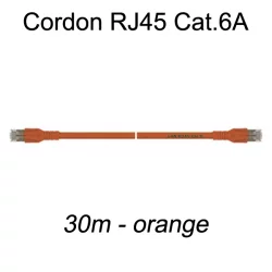 Câble Ethernet RJ45 cat 6a 30m orange