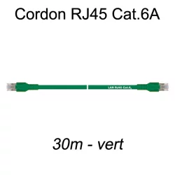 Câble Ethernet RJ45 cat 6a 30m vert