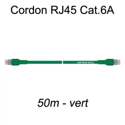 Câble Ethernet RJ45 cat 6a 50m vert