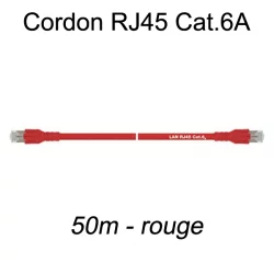 Câble Ethernet RJ45 cat 6a 50m rouge