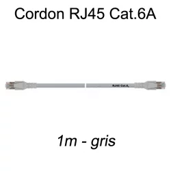 Câble Ethernet RJ45 cat 6a 1m gris