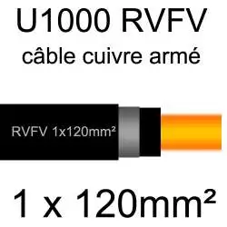 câble électrique armé renforcé âme cuivre U1000 RVFV 1 conducteur section 240mm² 1x240mm2