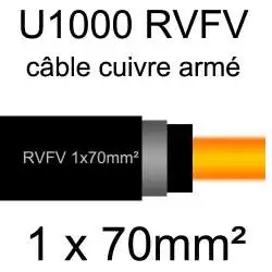 câble électrique armé renforcé âme cuivre U1000 RVFV 1 conducteur section 70mm² 1x70mm2