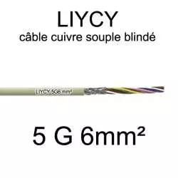 câble électrique blindé série LIYCY 6mm2 5 conducteurs 5G6mm2