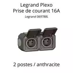 prise de courant legrand plexo référence 069788L 2 postes anthracite