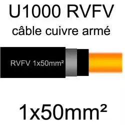 câble électrique armé renforcé âme cuivre U1000 RVFV 1 conducteur section 50mm² 1x50mm2