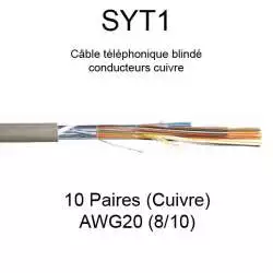 câble téléphone SYT1 10 paires cuivre AWG20 8/10