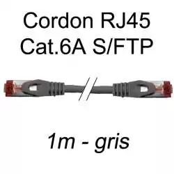 cordon réseau ethernet RJ45 cat.6A SFTP - 1m - gris