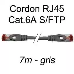 cordon réseau ethernet RJ45 cat.6A SFTP - 7m - gris