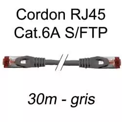 cordon réseau ethernet RJ45 cat.6A SFTP - 30m - gris