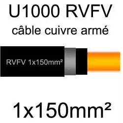câble électrique armé renforcé âme cuivre U1000 RVFV 1 conducteur section 150mm² 1x150mm2