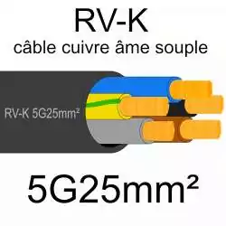 câble électrique âme cuivre souple série RVK 5 conducteurs 25mm2 5G25mm2