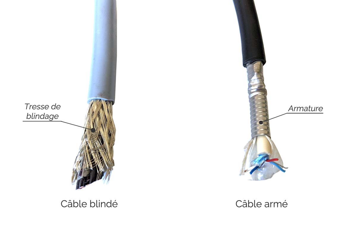 visuel de cables blindé et cable armé